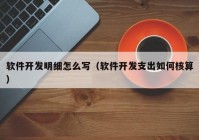 软件开发明细怎么写（软件开发支出如何核算）