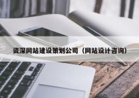 资深网站建设策划公司（网站设计咨询）