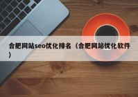 合肥网站seo优化排名（合肥网站优化软件）