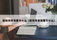 做软件开发要学什么（软件开发需要干什么）