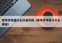 软件开发是什么行业代码（软件开发属于什么类目）