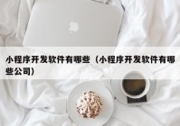 小程序开发软件有哪些（小程序开发软件有哪些公司）