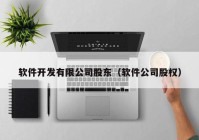 软件开发有限公司股东（软件公司股权）