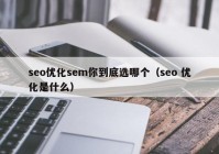 seo优化sem你到底选哪个（seo 优化是什么）