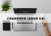 公司业务软件开发（企业软件 开发）