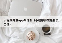 小程序开发app叫什么（小程序开发是什么工作）