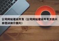 公司网站建设开发（公司网站建设开发济南兴田德润简介图片）