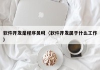 软件开发是程序员吗（软件开发属于什么工作）