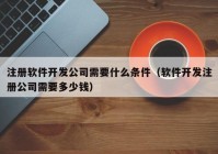 注册软件开发公司需要什么条件（软件开发注册公司需要多少钱）