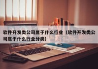 软件开发类公司属于什么行业（软件开发类公司属于什么行业分类）