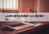 seo优化是什么意思呢（seo 优化是什么）