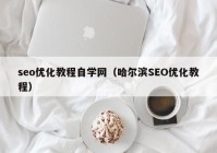 seo优化教程自学网（哈尔滨SEO优化教程）