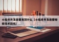 小程序开发需要用到什么（小程序开发需要哪些技术路线）